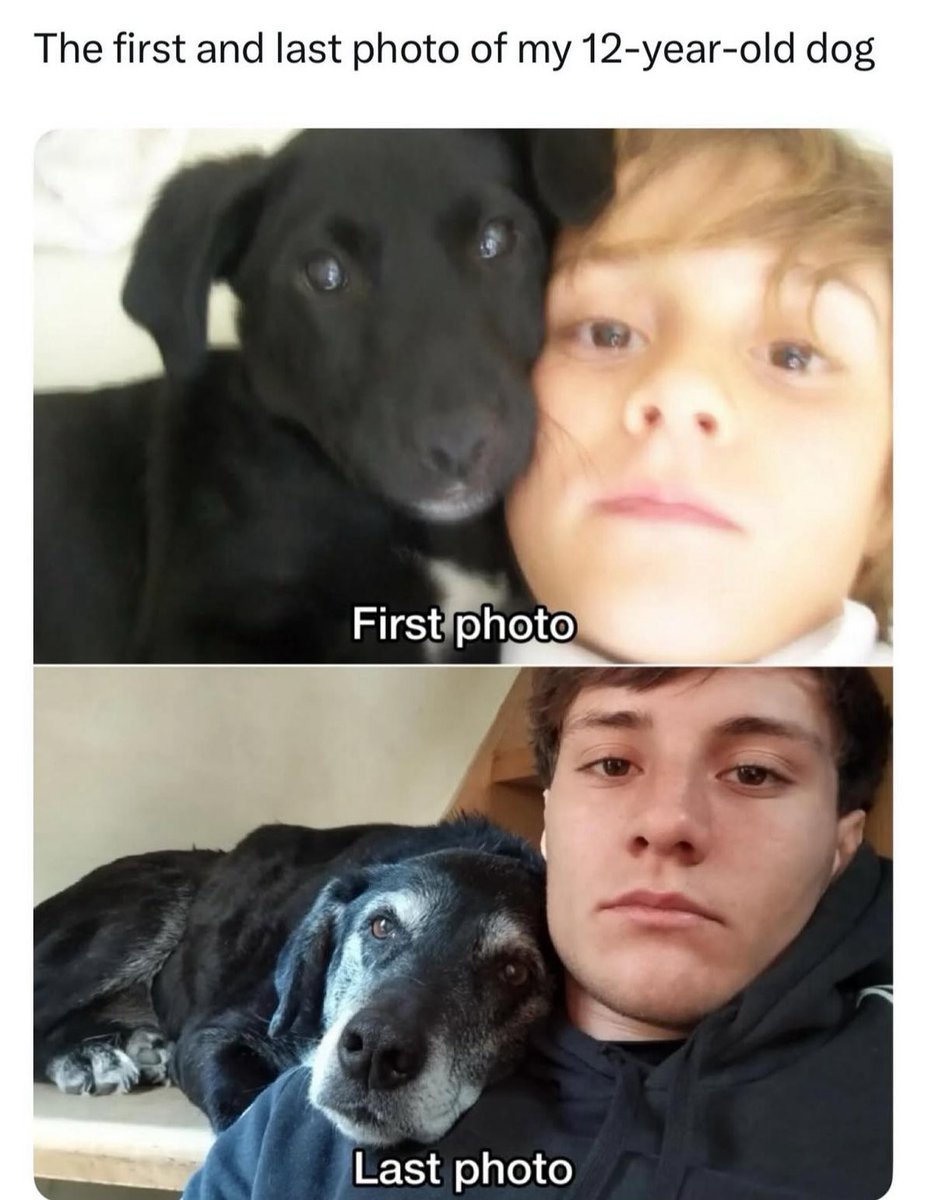 Puppies 🐶 tweet media