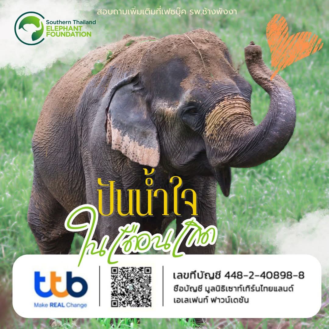 กระดานบอกบุญ tweet media