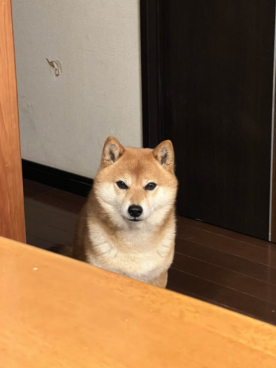 真剣にごまかしてる⁉︎