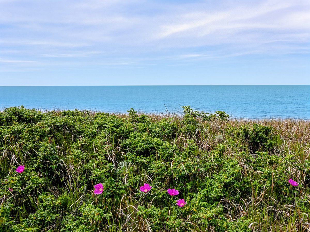 たけなかいさお tweet media