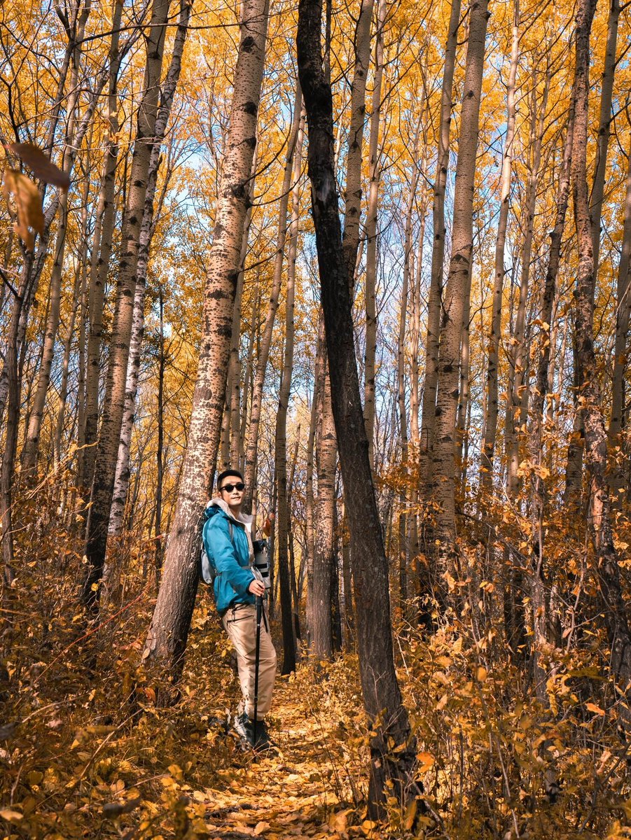 NorbertMusial's tweet image. Just wrapped up a perfect weekend getaway—sunny hikes, cozy café stops, and endless laughs with my crew. Grateful for these little escapes  #Wanderlust #WeekendVibes