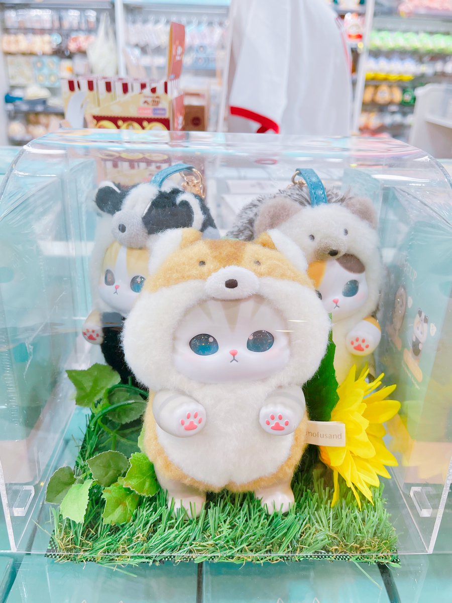 キデイランド原宿【公式】 tweet media