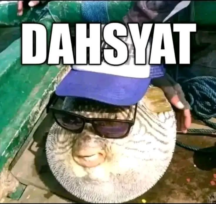 lifhide tweet media
