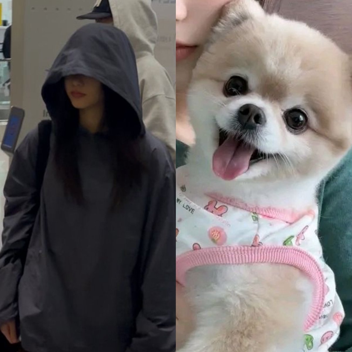 Their personalities and their dogs😭