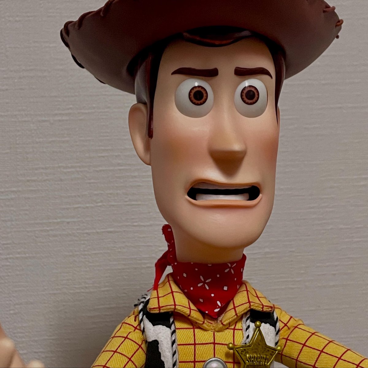 Majika00e's tweet photo. 映画風にフォトレタッチ

#WoodyPride #ToyStory #Woody
#ToyStoryCollection #pixar https://t.co/eI5nHq3a1R