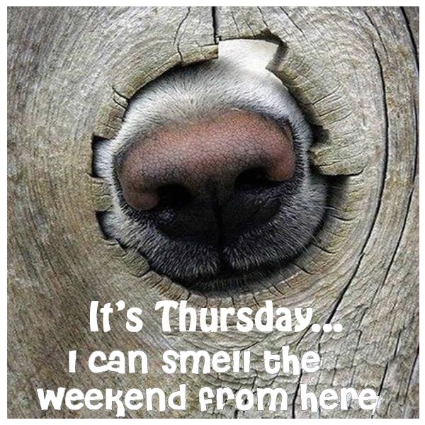 RaySmithMOA's tweet image. #ThursdayMotivation
#HappyThursday #XFriends #StandWithAmerica
#StandWithTexas #StandWithIsrael
Ministry Of Angels @RaySmithMOA #MinistryOfAngels
@DollmasterNancy #DjMetalMinister
#HaveYouHadYourAngelFixToday