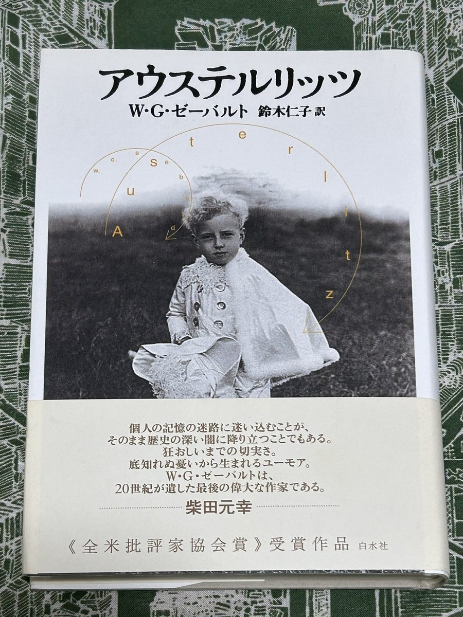 Moonflower tweet media