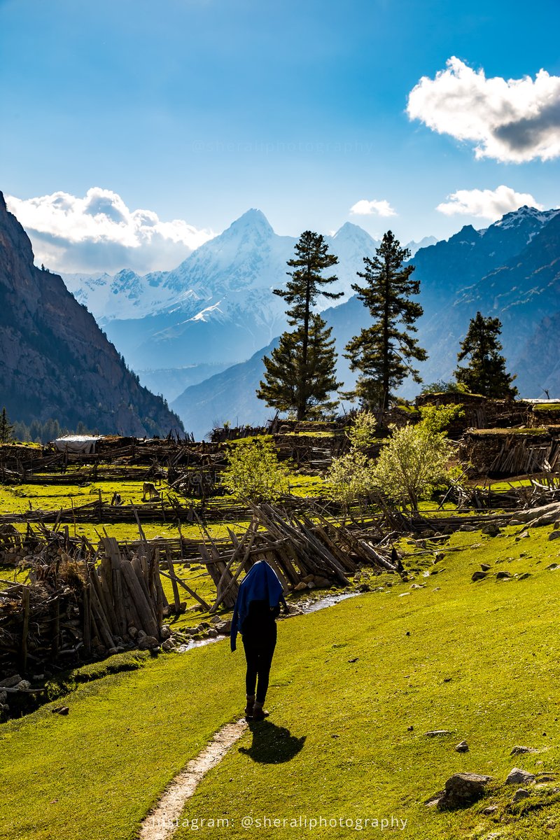 tsilenttraveler's tweet photo. Kutwal valley, Haramosh 📷📷
#kutwalvalley #haramoshvalley #naturelovers #natureinspired #travel https://t.co/HZTRlO88et