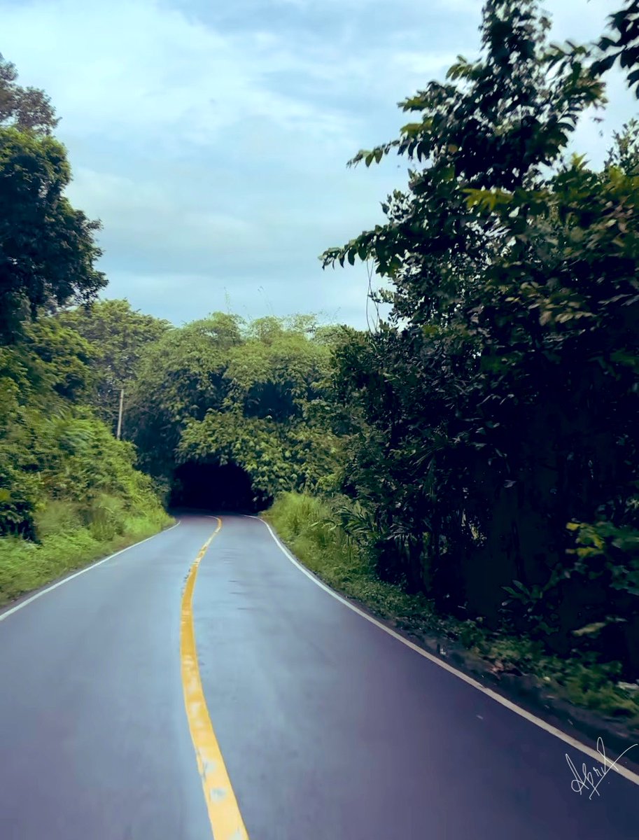 OnlyVibes2050's tweet image. 🌿Timeless Thursday 

Share a photo
from today or any past moment

A view,
a scene that felt special..

Which timeless moment will you share?

#TimelessThursday #Nature #ThursdayVibes