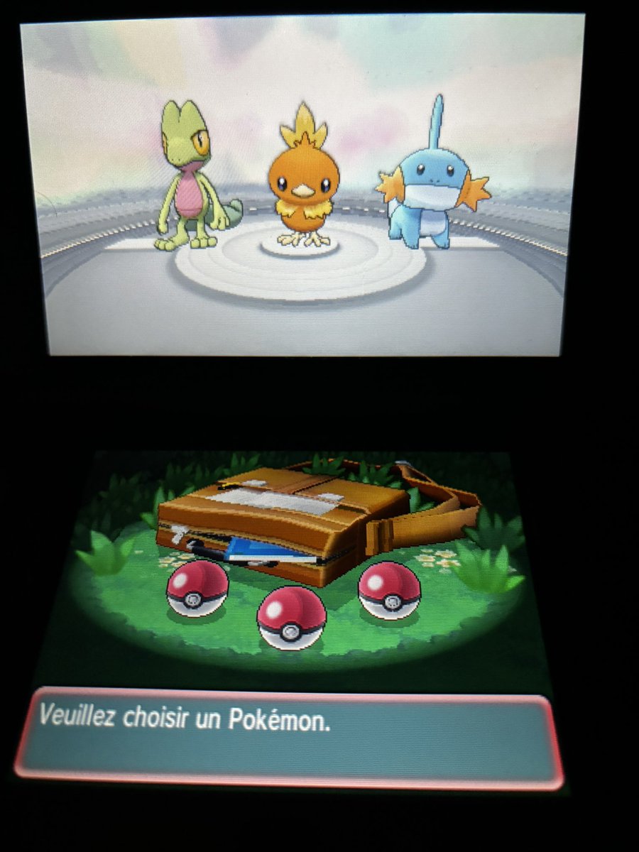 𓆩♡𓆪🇫🇷 Erin 🇵🇸 𓆩♡𓆪 tweet media