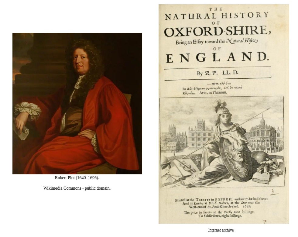 SueCooperBridge's tweet photo. #HistoryNotes📜
#OTD 1696 d. #RobertPlot, brilliant #Stuart era naturalist, antiquarian, Oxford Prof. of chemistry &amp; first keeper of the #AshmoleanMuseum. His original sketches were refined by engravers for his books, as shown in his 'The Natural History of Oxford-shire, 1677'. https://t.co/e6hya1wpnr