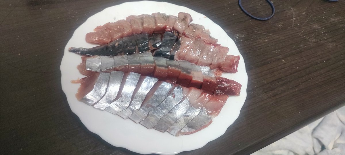 hunter_hunter48's tweet photo. スマガツオのあぶらやばい！味が大トロや! https://t.co/1eDt7p5fYO