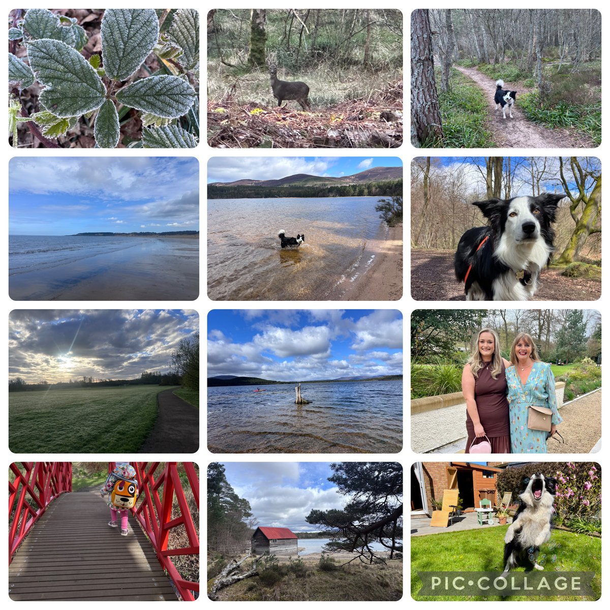 KinlochSusan's tweet photo. April was standard Spring weather, frosty, cold, now roasting hot 😂🏴☀️ #30thApril https://t.co/DMcKhDMwL8