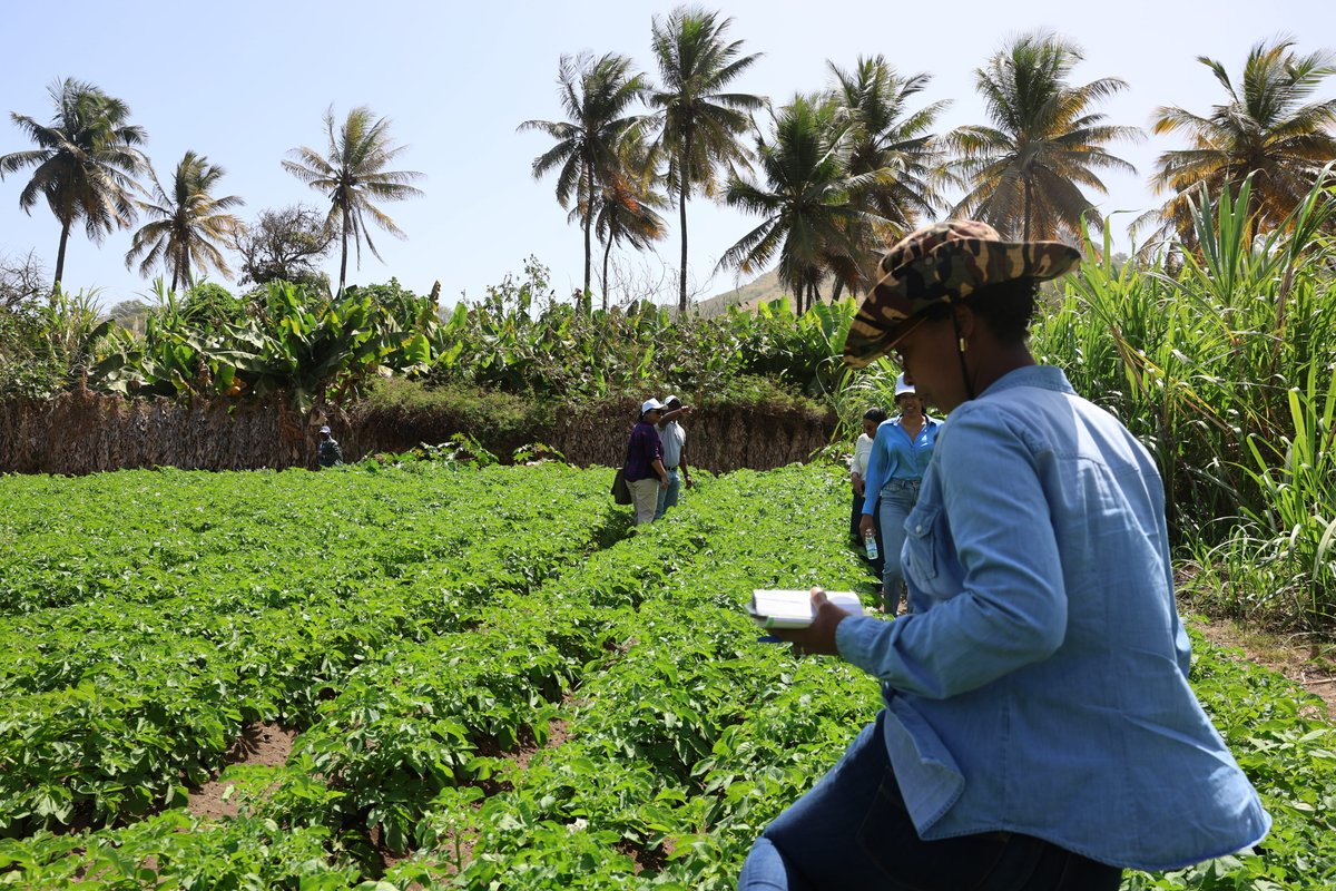 FAOCaboVerde's tweet image. Measuring today to cultivate tomorrow! 🌱

The national implementation of #TAPE will support evidence-based decision-making regarding biodiversity &amp;amp; #climatechange in #CaboVerde. 🇨🇻

Joining forces: @Gov_CaboVerde, #FAO, #EUCV &amp;amp; NGOs. 🌿

#FoodSecurity #Agroecology

#SDG2 #SDG15