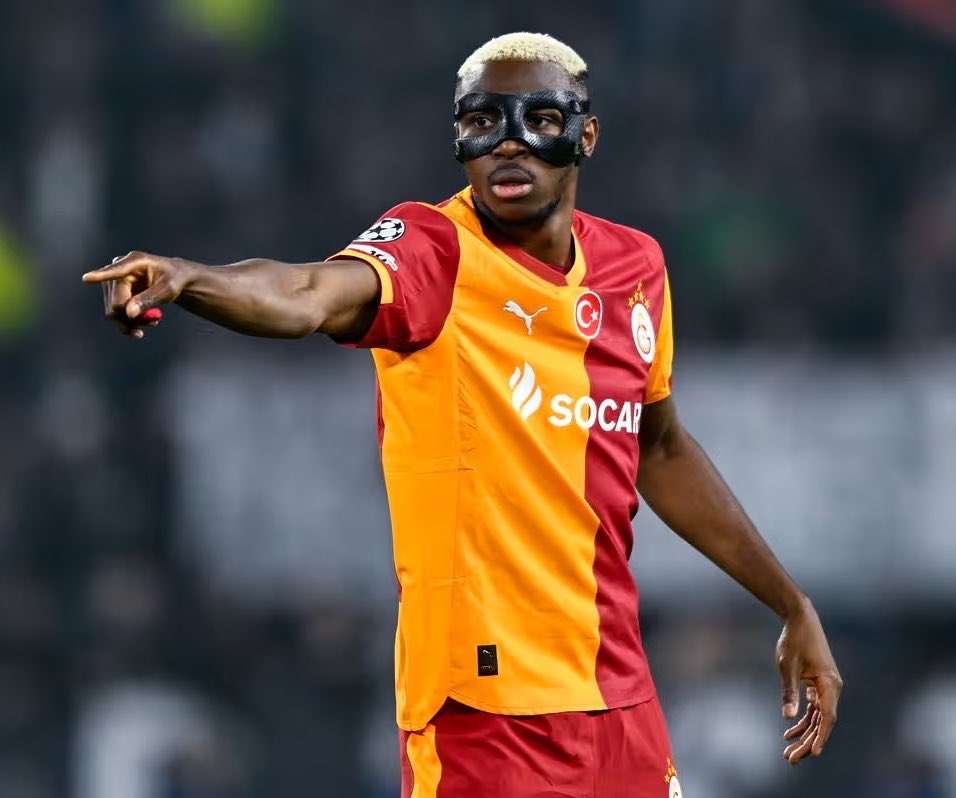 Berneese tweet media