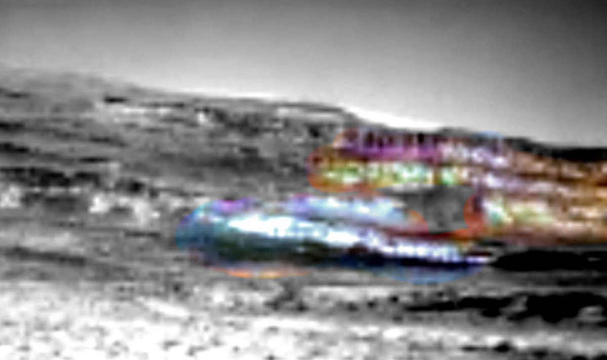 MarsBeings tweet picture