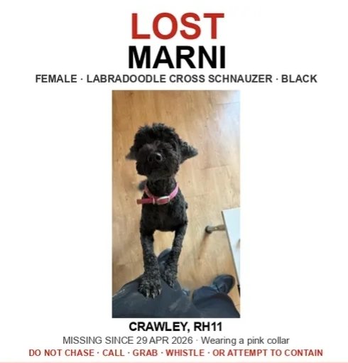 Missing Pets GB tweet media