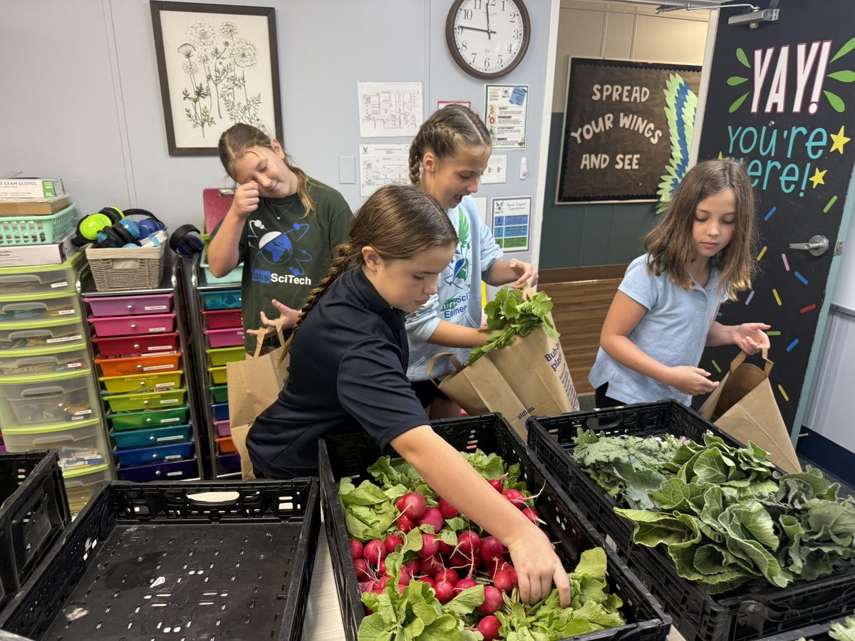Florida4H's tweet photo. Continuing #Florida4H’s Month of Service, Volusia County Florida 4-H youth are making a fresh impact!🥕 Partnering with a local farm, 4-H members harvested, packed, and delivered fresh vegetables each week to families in need, while building skills in agriculture, teamwork, and leadership.

#4HServes #MonthOfService