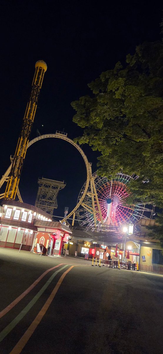 ドナケン tweet media