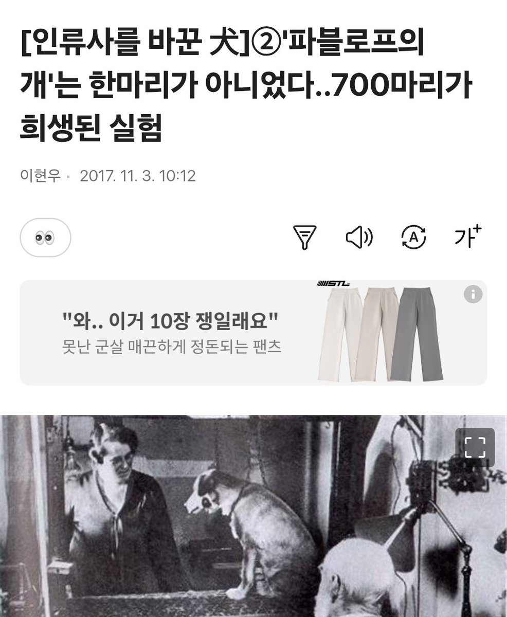 jangddaeng_TV's tweet photo. 아니 잠만 ㅁㅊ
파블로프의 개 실험 700마리 넘게 희생됏다고???

나는 그냥 침흘리는게 다인줄 알앗는데
턱에 구멍내서 양 측정햇대 이.미 친

그래서 파블로프 이자식
희생된 700마리 이름을 모두 기억한다
이랫다는게 이게 무슨
아
좀 충격적임 나만 몰랏음? https://t.co/Zf3YazDdvh