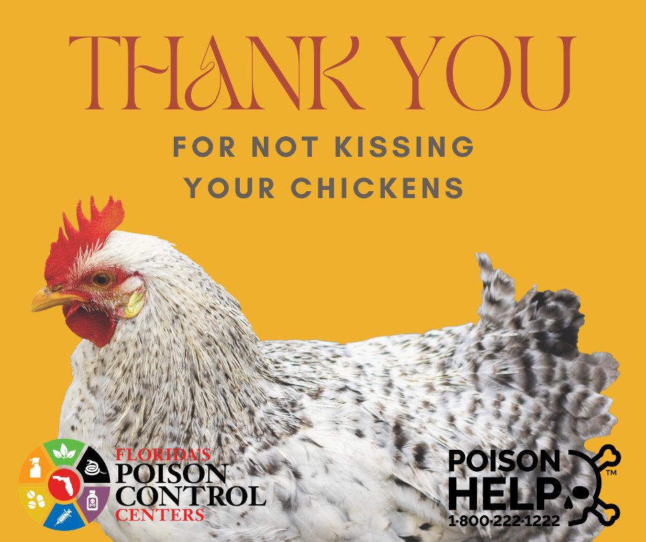 FloridaPoison's tweet photo. 🚨Outbreak Alert: Florida has identified a case of Salmonella poisoning as part of a national outbreak linked to backyard chickens. Nationally, there are 34 cases and 13 required hospitalizations.

#Poison Help: 1-800-222-1222.
@PoisonCenters https://t.co/ItJSy53vkN