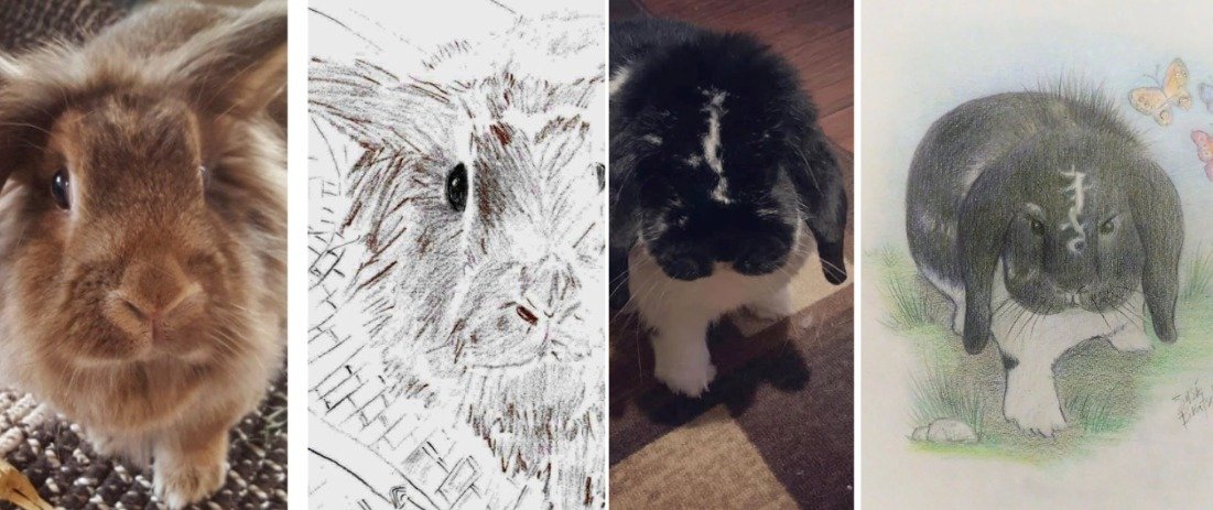 RabbitNetwork's tweet photo. Poorly Drawn Pets is back! 🖌️ For a donation of $20, we will send you a delightfully "poorly drawn" picture of your pet (you might even get lucky and get an actual artist). 😎 If you're looking for a unique way to support a good cause, take a look: https://t.co/5kMdt4CHHU https://t.co/hRDiSTmC92