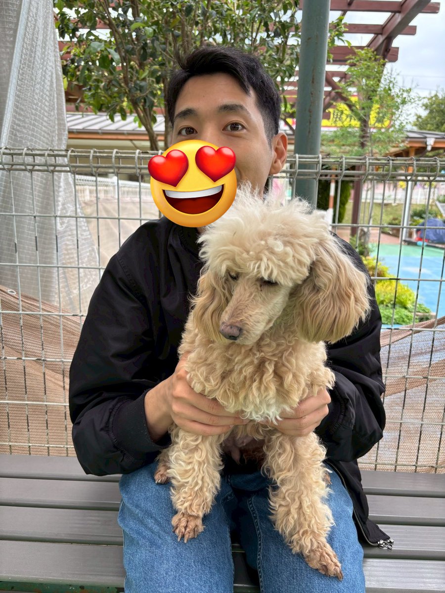 馬 tweet media