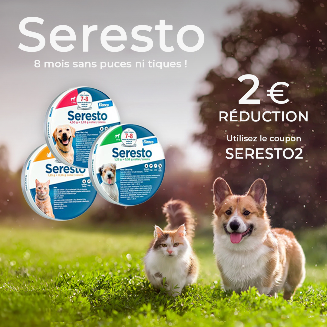 vetselection_be's tweet photo. Débarrassez-vous des parasites avec Seresto !

Profitez d’une réduction sur le collier Seresto avec le code promo SERESTO2

https://t.co/uuCnZn8SDI https://t.co/QU9Z2sWZ5Y