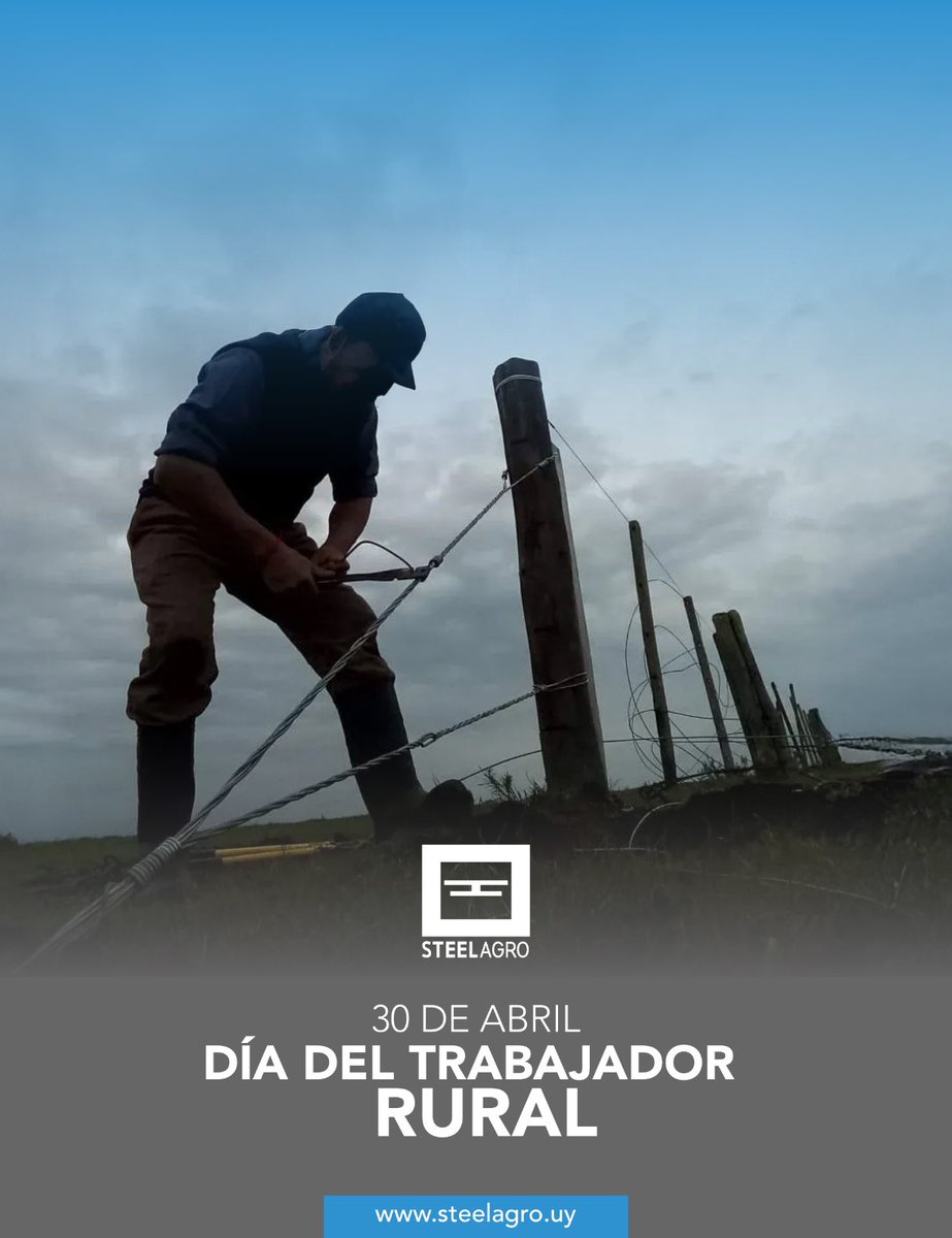STEELAGRO tweet media