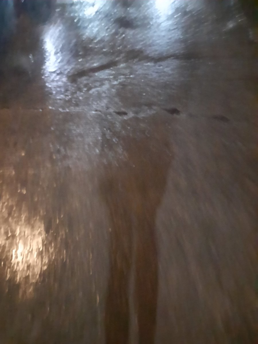 pahee lagi limit tweet media