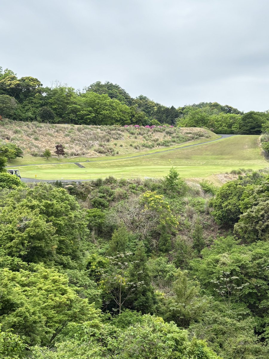 piesukekun's tweet photo. リアゴルフ⛳️。午後スルー。
もう少し、もう少しでいつもこれ😭😭。スリーパット２回、4パット 1回😭。次は、川崎国際。この前のリベンジしないと😏なので、おうちパター練習も頑張る😤。
#総丘カントリー倶楽部
#午後スルー https://t.co/9BlSWc7IBy