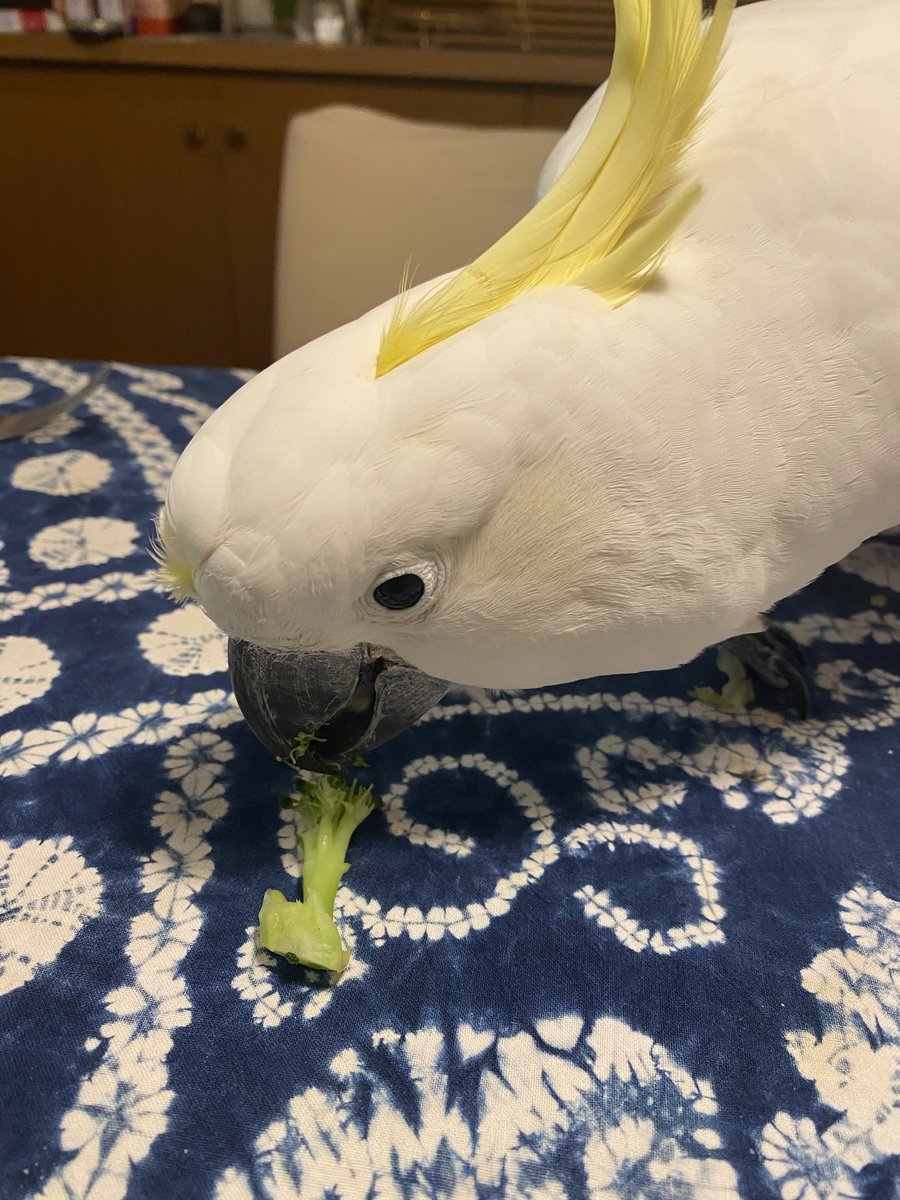 理事長 tweet media