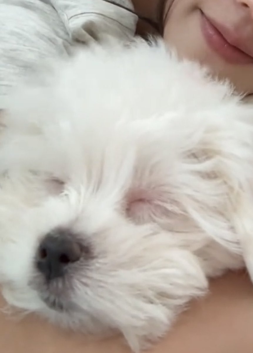 -itimiteen- tweet media