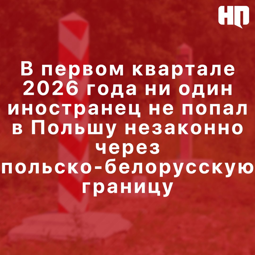 Новая Польша tweet media
