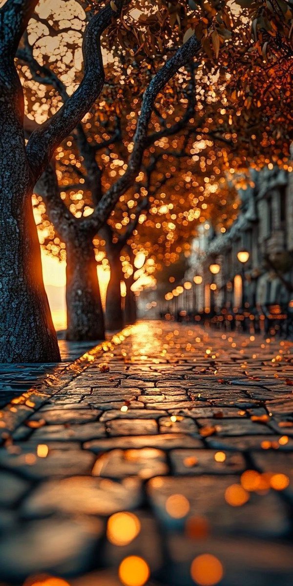 Ettorestyle's tweet photo. Good Morning Peeps !! #Beautiful #startoftheday #feelingood #feelingbeautiful #makemyday https://t.co/zPEVZtxj3S