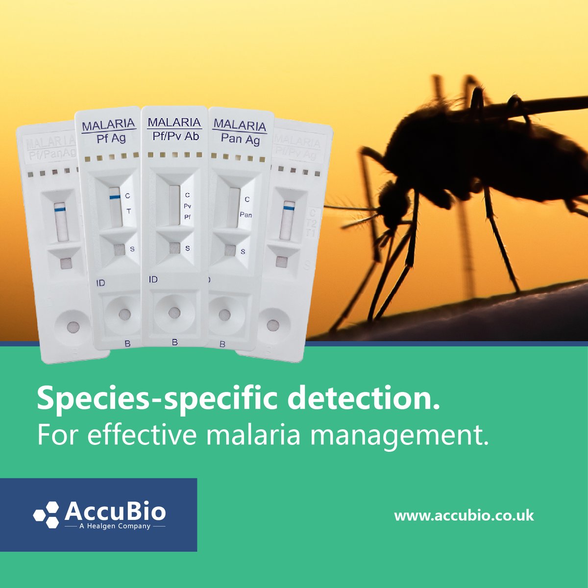 AccuBio_Ltd's tweet photo. AccuBio's rapid malaria test range enable the differential detection of P. faliciparum, P. vivax and other (Pan) malarial species antigens and antibodies.

✅ Visual read
✅ Results in 20 minutes
✅ Use across decentralised settings

Learn more: https://t.co/UbDAz8VPYs https://t.co/IHOwX0WdEB