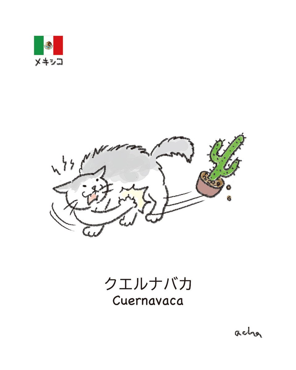 ねこめん tweet media