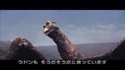 たもんまる🐳 tweet media