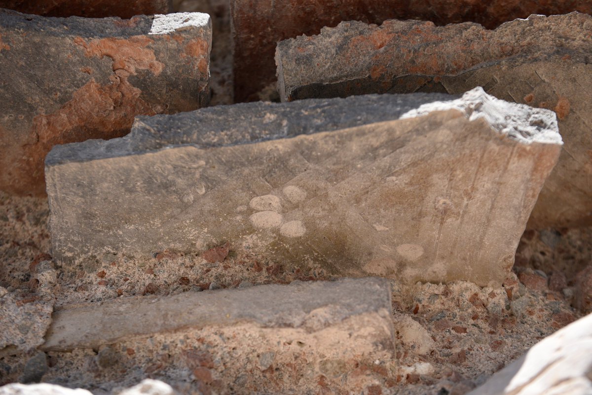 ByzantineLegacy's tweet photo. Animal Footprints in Bricks at İznik/Nicaea
See video in post https://t.co/sv2UOwmqst