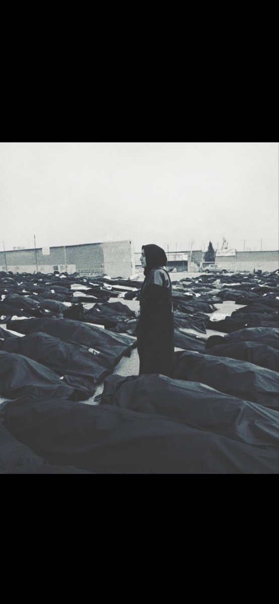 movenglish tweet media