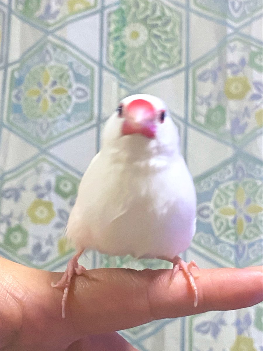 かわいい踏ん張り撮れた…！！！！
おにぎりフォルム🤣🍙🫶💕︎︎