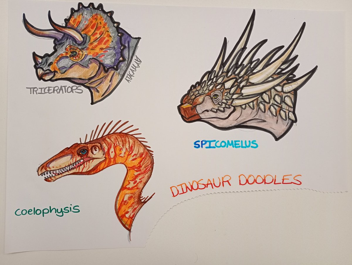 AtacamaTheBean's tweet photo. Doodled some dinos from memory in pen :]

#triceratops #coelophysis #spicomellus #traditionalart https://t.co/k4U685s8Ex