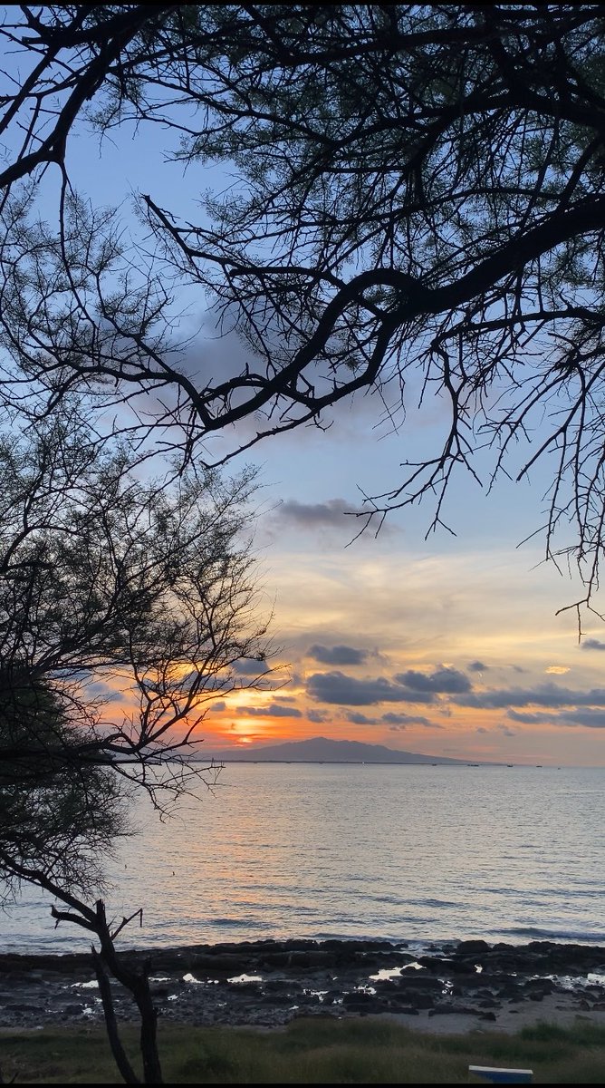 nana tweet media