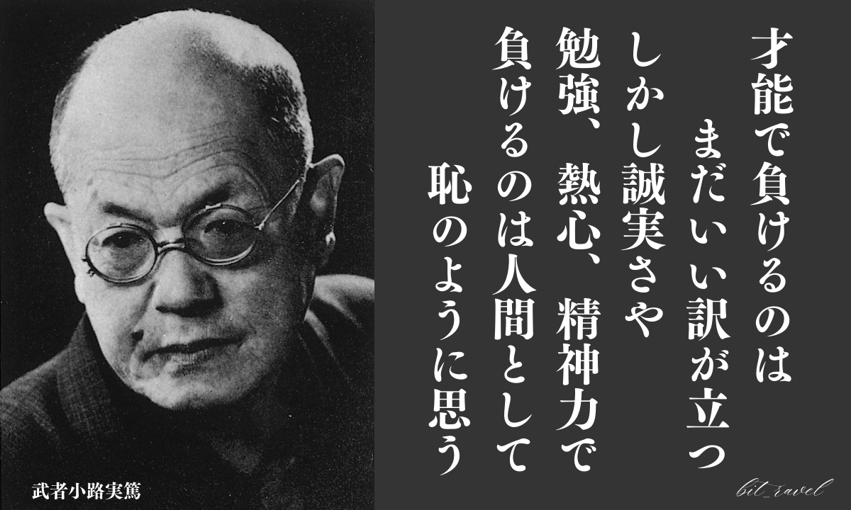 びっとらべる tweet media