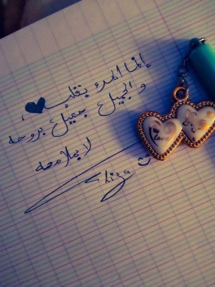 أبو عريضه 👑 tweet media