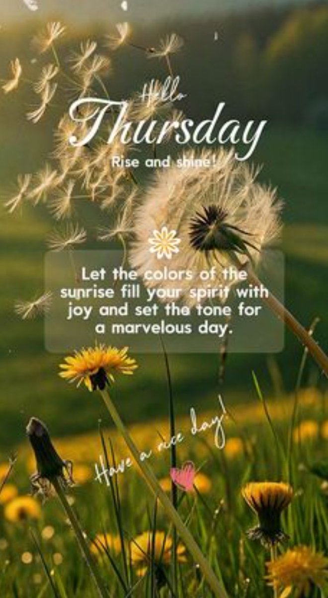 GratefulStella's tweet image. ✨🌞🌄🌞✨ #GoodMorning #HappyThursday #colours #sunrise #spirit #joy #tone #marvelous #day #have #nice #thursday #April30 #April2026 ✨🌞🌄🌞✨