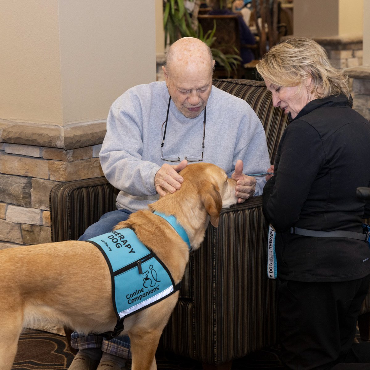 Canine Companions® tweet media