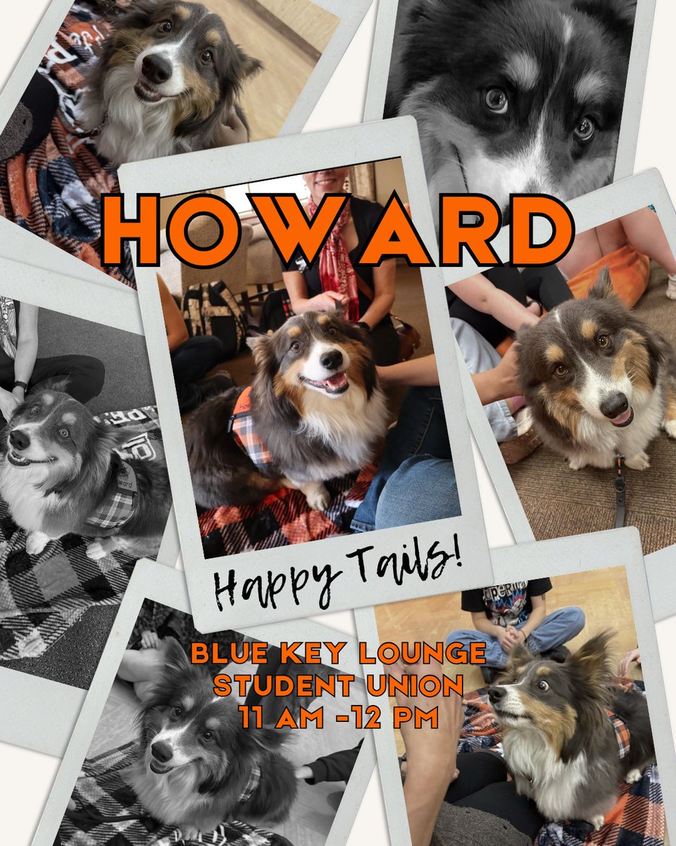 Pets4Pete's tweet image. Come say goodbye to Howard! 🐾 Join us in the Blue Key Lounge (Student Union) from 11–12 to wish him happy tails and give him the best send-off!

#okstate #pettherapy