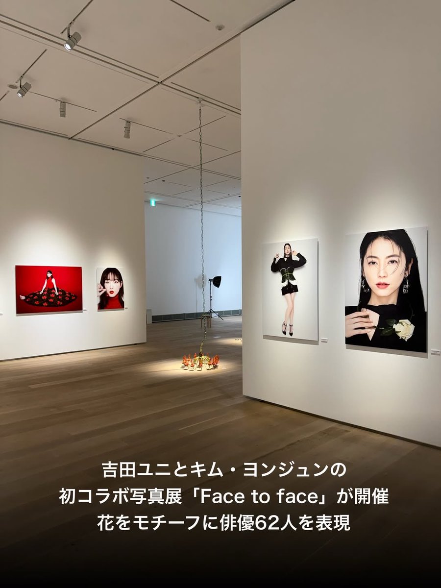 ハク(長澤まさみ🐈⬛Masamist管理人) tweet media