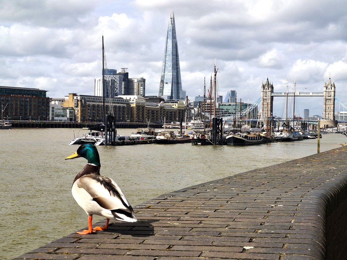 Thames21 tweet media